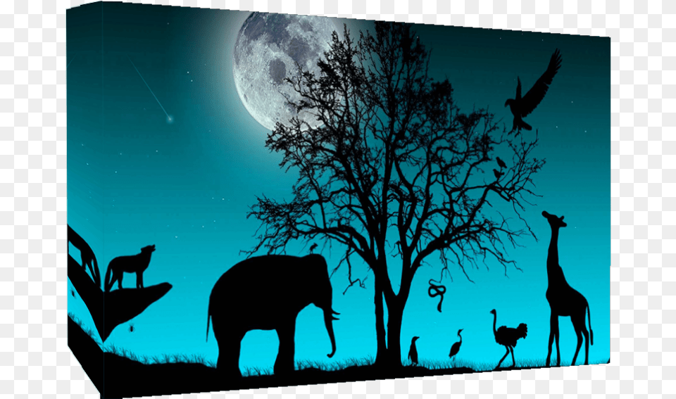 Duck Egg Blue Animals Silhouette Moon And Animals Silhouette, Astronomy, Outdoors, Night, Nature Free Png