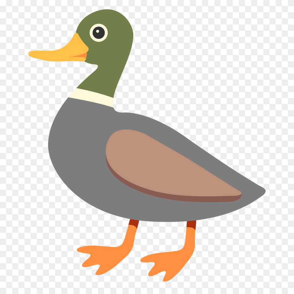 Duck Emoji Clipart, Animal, Anseriformes, Bird, Waterfowl Free Png Download
