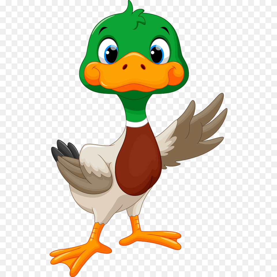 Duck Goose Clip Art, Animal, Beak, Bird, Waterfowl Free Transparent Png