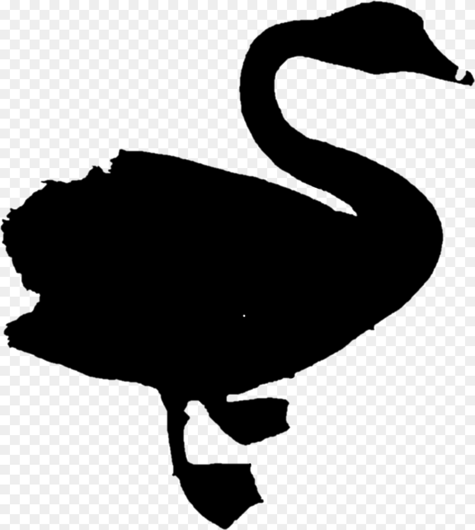 Duck Goose Clip Art Fauna Silhouette Black Swan, Gray Png Image
