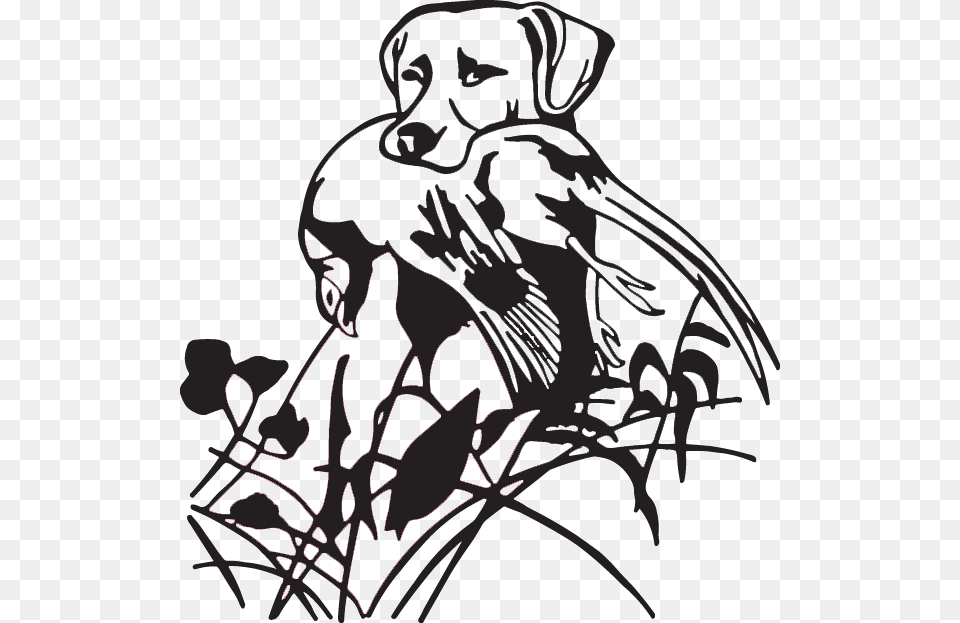 Duck Goose Labrador Retriever Hunting Dog Waterfowl Duck Hunting Dog Clip Art, Stencil, Person, Face, Head Png Image