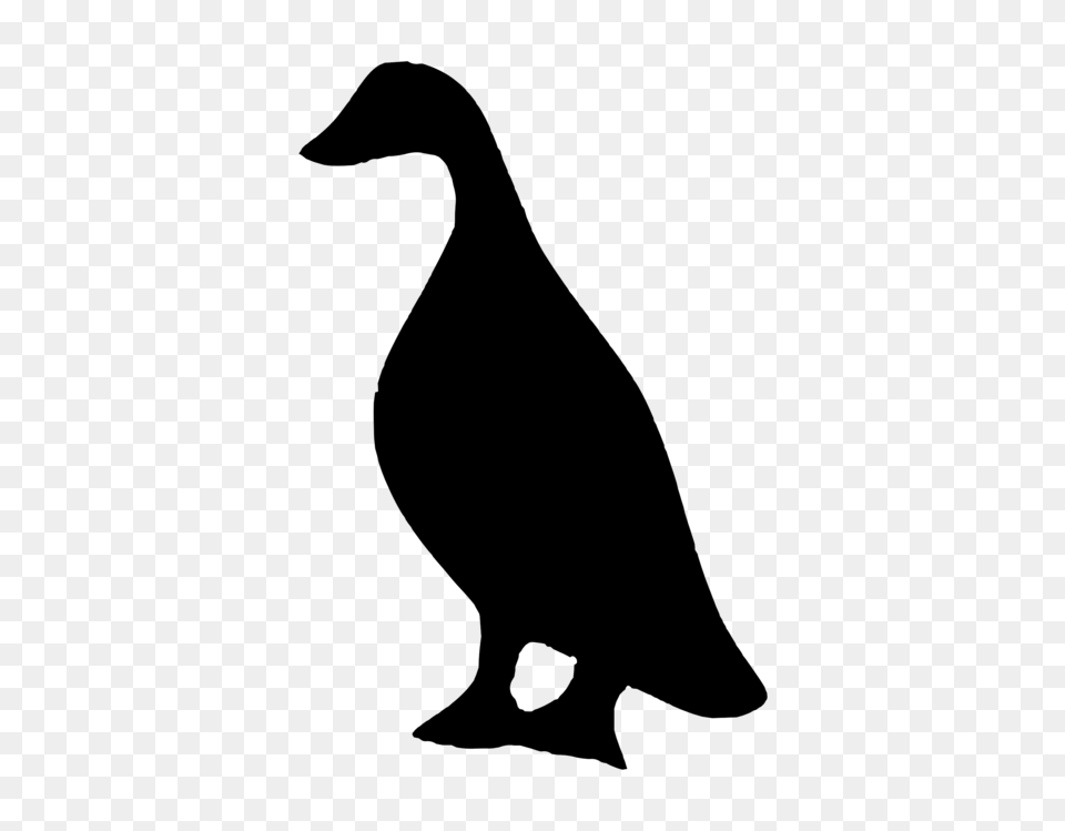Duck Goose Silhouette Drawing Stencil, Gray Png