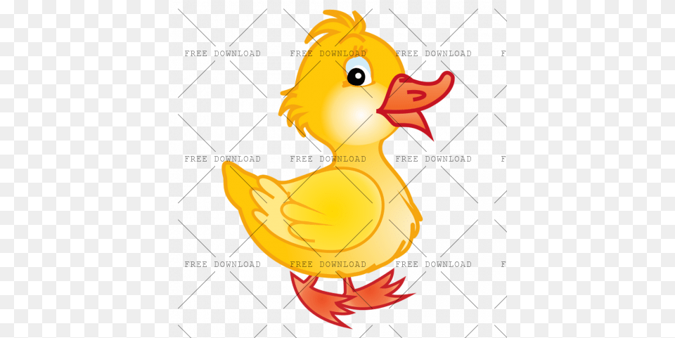 Duck Goose Swan Bird Image With Background Rubber Ducky, Animal, Beak Free Png