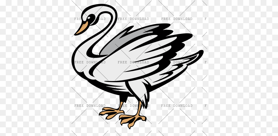 Duck Goose Swan Bird Image With Duck, Animal, Waterfowl, Beak, Fish Free Png Download