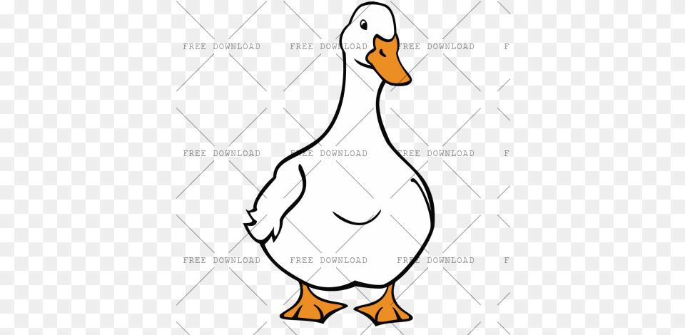 Duck Goose Swan Bird Image With Pekin Duck Drawing, Animal, Waterfowl, Adult, Female Free Png Download