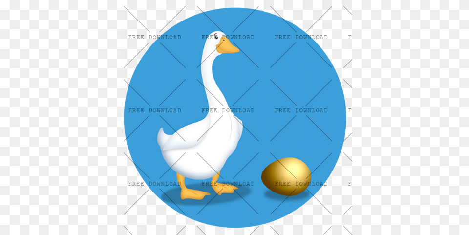 Duck Goose Swan Bird Image With Transparent Background, Animal, Waterfowl Free Png Download