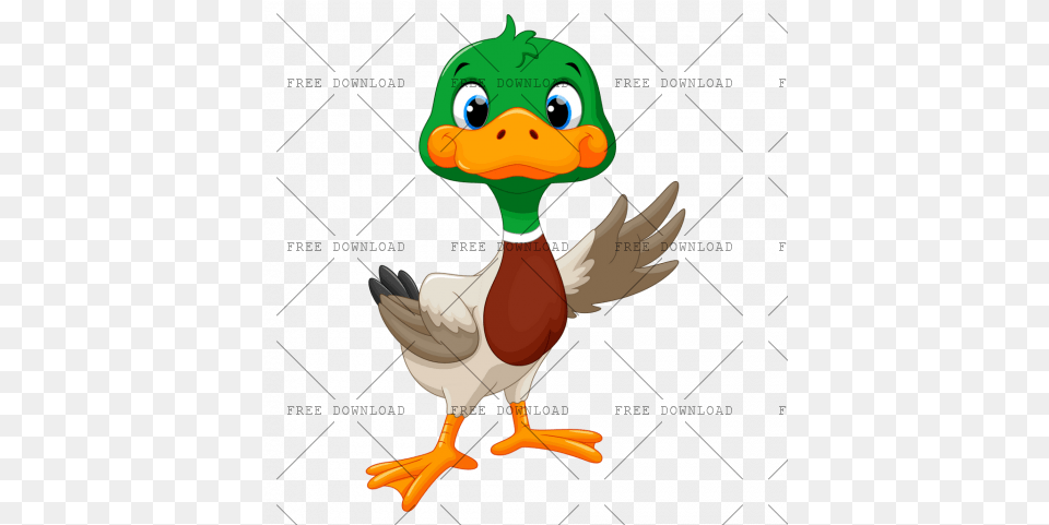 Duck Goose Swan Bird With Transparent Background, Animal, Beak, Anseriformes, Waterfowl Png Image
