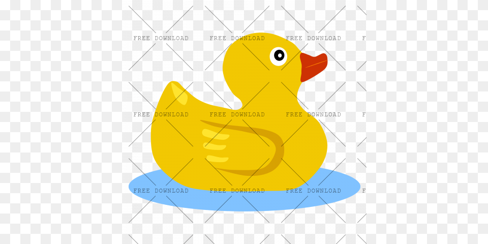 Duck Goose Swan Bird Image With Background Duck, Animal, Beak, Fish, Sea Life Free Transparent Png