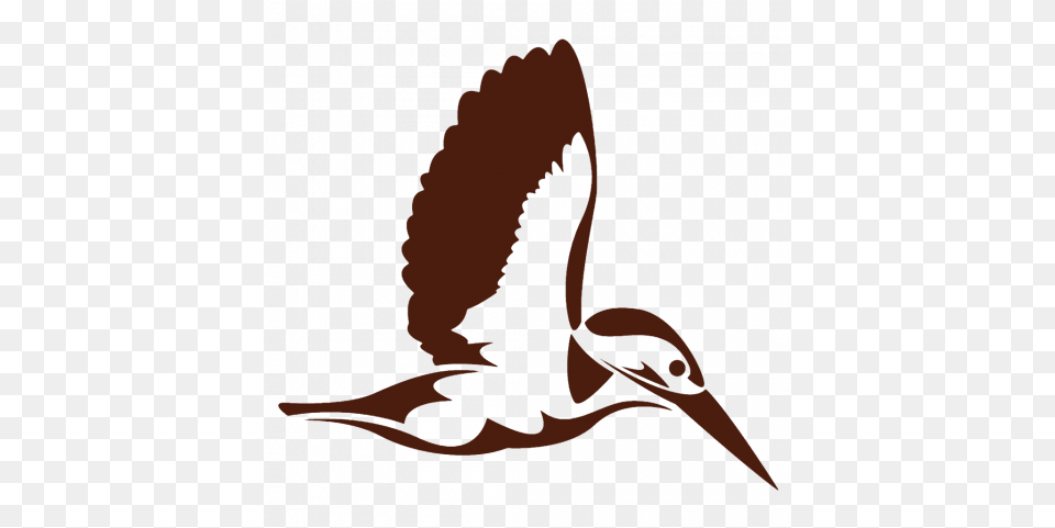 Duck Goose Swan Bird Image With Transparent Background Flying Kingfisher Silhouette, Animal, Beak, Waterfowl, Crane Bird Png