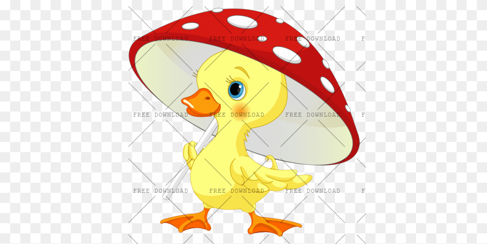 Duck Goose Swan Bird Image With Background Rain Duck, Clothing, Hat, Animal, Beak Free Transparent Png