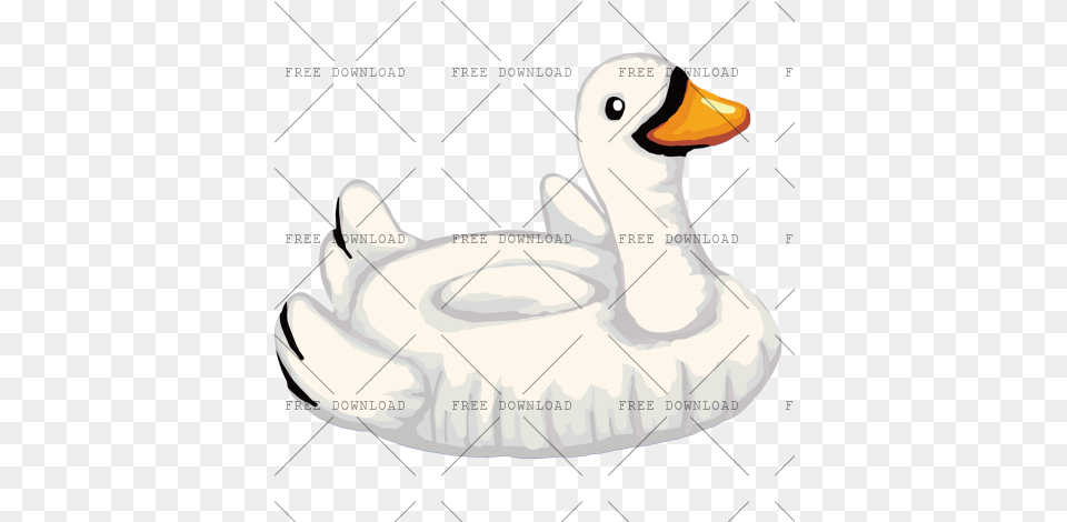 Duck Goose Swan Bird With Swans, Animal, Waterfowl, Beak, Fish Png