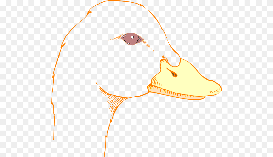 Duck Head Drawing Clip Art, Animal, Bird, Goose, Waterfowl Png