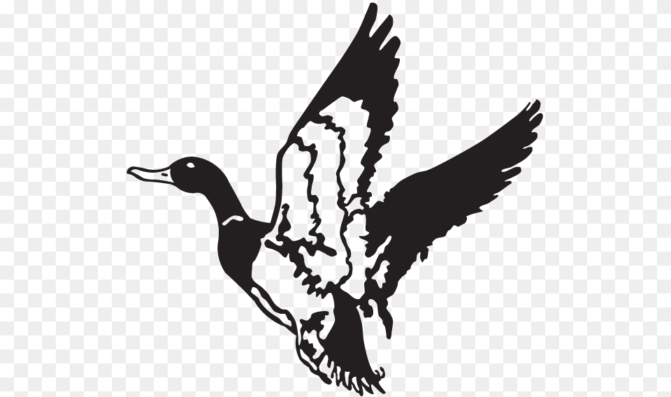 Duck Hunt Duck Flying Duck Clip Art, Stencil, Animal, Bird, Waterfowl Png Image