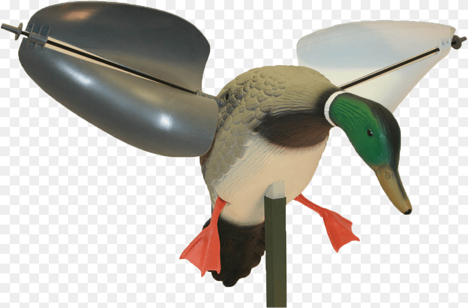 Duck Hunt Duck Mojo Wind Duck, Animal, Bird, Beak, Waterfowl Png