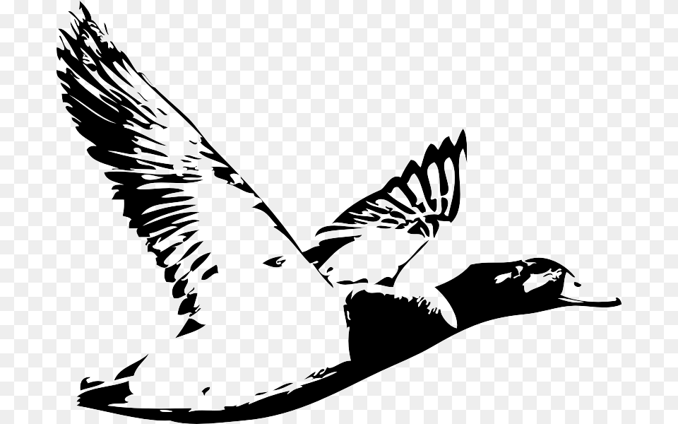 Duck Hunting Drawing At Getdrawings Fowl Hunting Logo Designs, Stencil, Animal, Bird, Goose Free Transparent Png