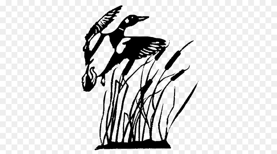Duck Hunting Silhouette, Animal, Bird, Stencil, Waterfowl Free Png