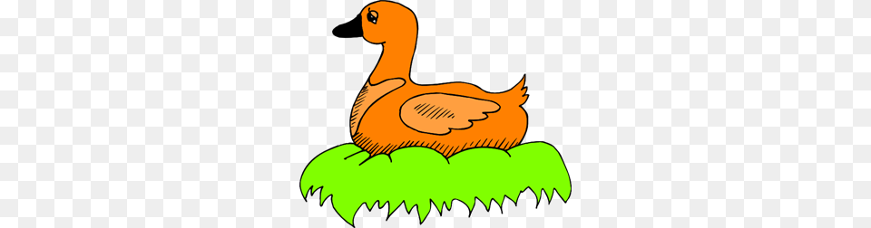 Duck Icon Cliparts, Animal, Bird, Goose, Waterfowl Free Png