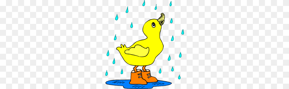 Duck In The Rain Clip Art, Animal, Beak, Bird Free Png Download