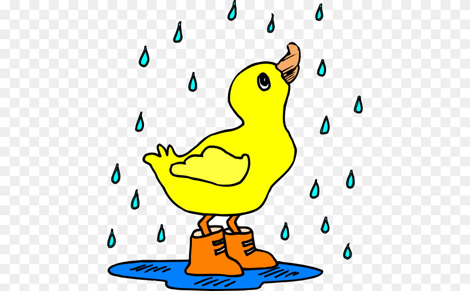 Duck In The Rain Clip Art, Animal, Beak, Bird, Baby Png Image