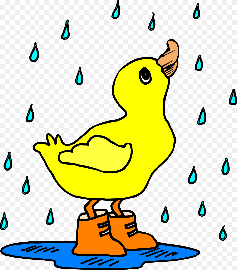 Duck In The Rain Clipart, Animal, Beak, Bird, Canary Png Image