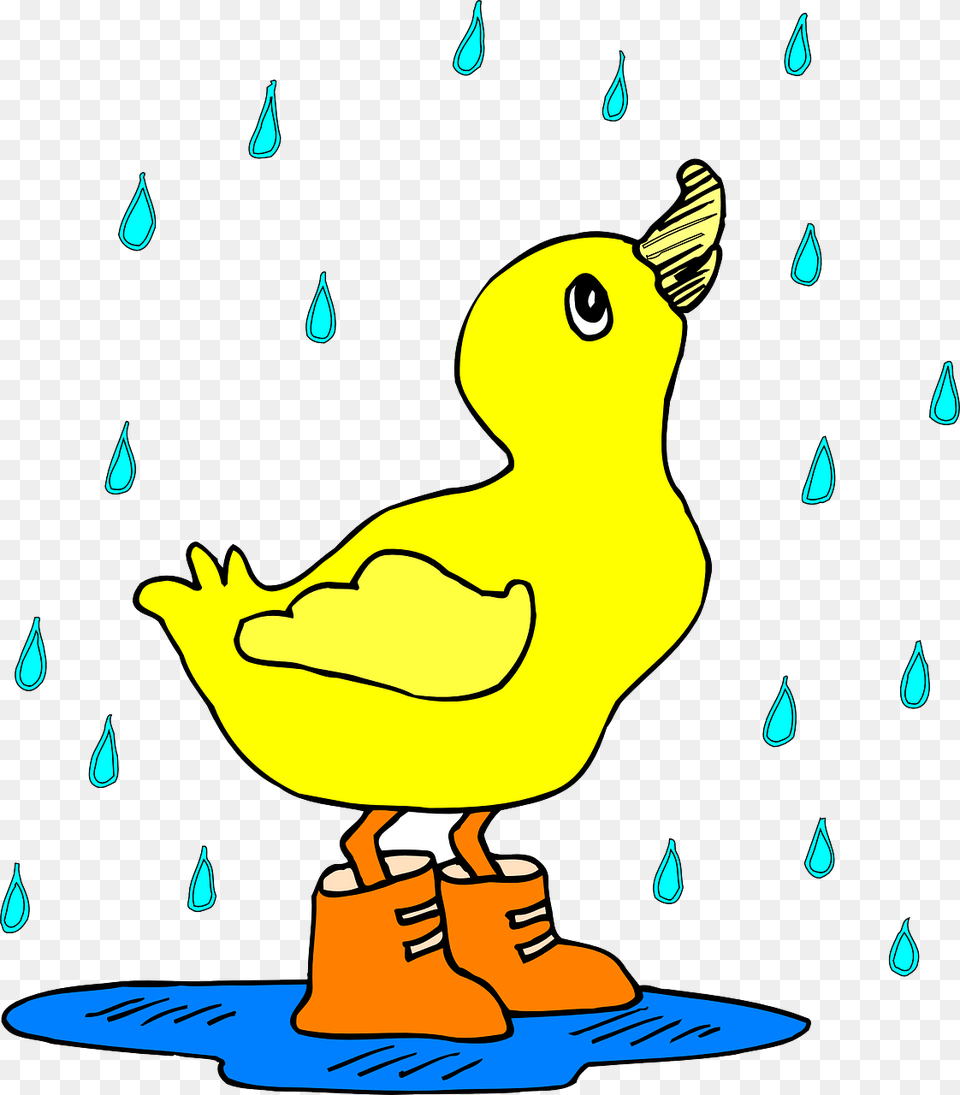 Duck In The Rain Svg Clip Arts Duck In The Rain Cartoon, Animal, Beak, Bird Free Png Download