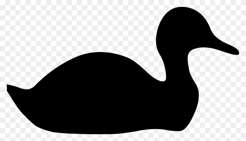 Duck Mallard Bird Cygnini Silhouette, Gray Free Transparent Png