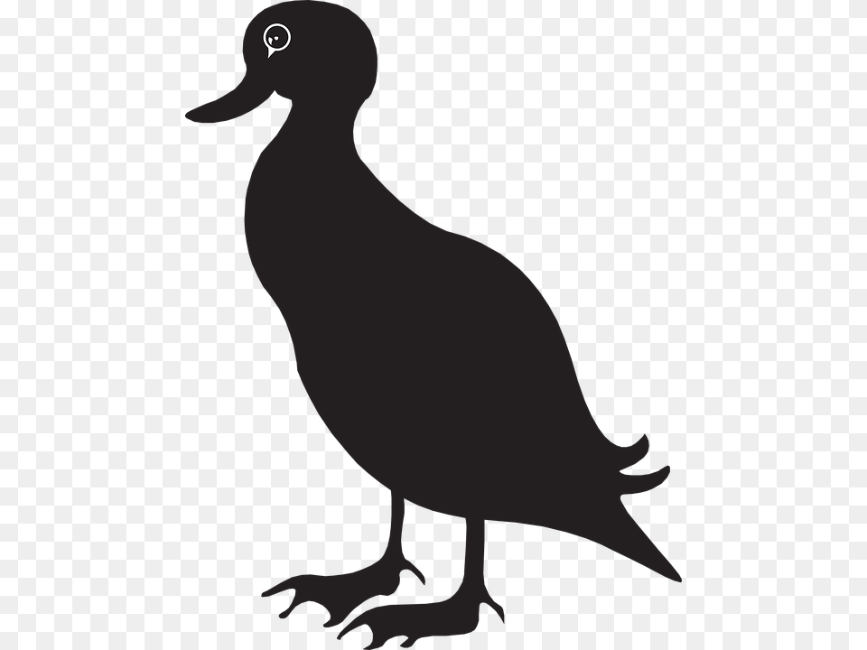 Duck Mallard Goose Clip Art, Animal, Bird, Person Free Png
