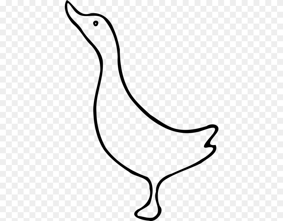 Duck Mallard Goose Cygnini Stencil, Gray Free Transparent Png