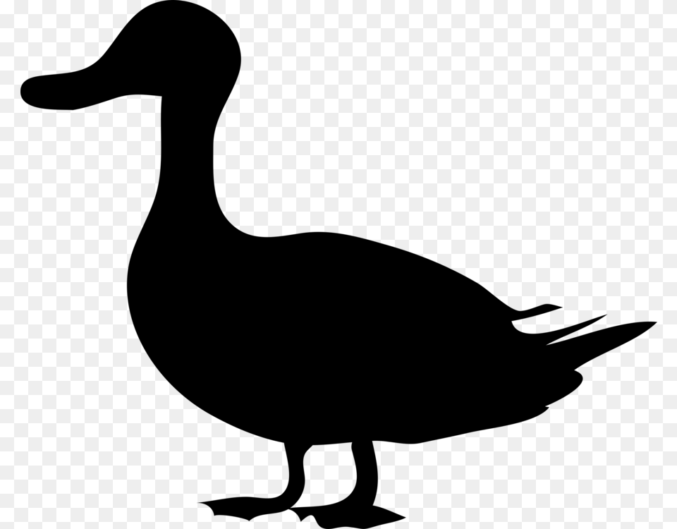 Duck Mallard Silhouette Goose, Gray Free Png