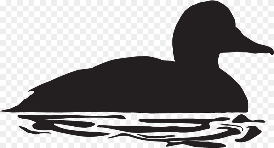 Duck On Water Silhouette, Animal, Bird, Person Free Transparent Png