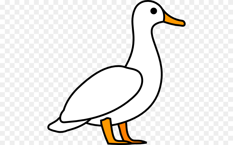 Duck Outline Group With Items, Animal, Bird, Goose, Waterfowl Png Image