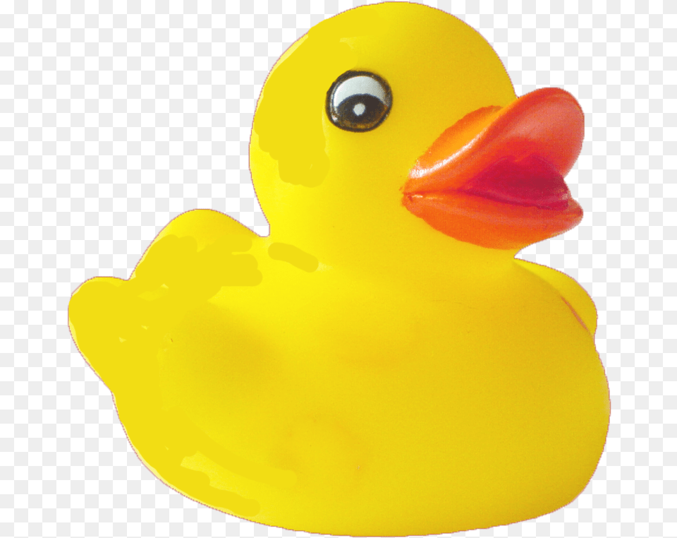 Duck Pic Rubber Duck Transparent Background, Animal, Beak, Bird, Face Free Png Download