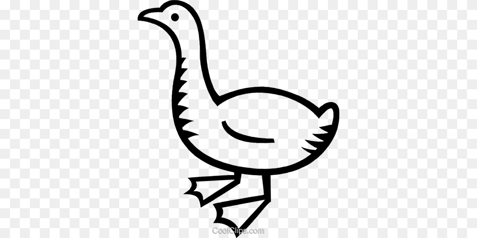 Duck Royalty Vector Clip Art Illustration, Animal, Bird, Goose, Waterfowl Free Transparent Png