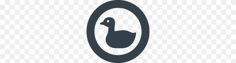 Duck Side View Icon Icon Rainbow Over Royalty, Animal, Bird, Goose, Waterfowl Free Png Download