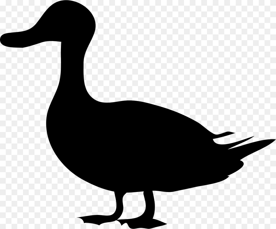 Duck Silhouette, Animal, Bird, Kangaroo, Mammal Free Transparent Png