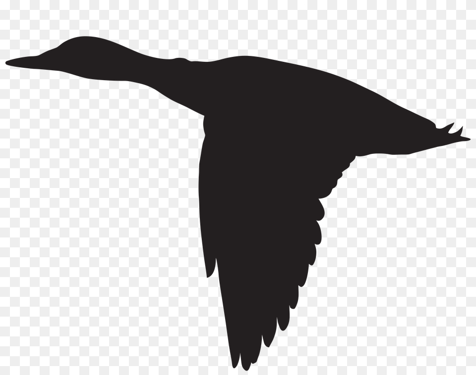 Duck Silhouette Cliparts, Animal, Bird, Flying, Person Png Image