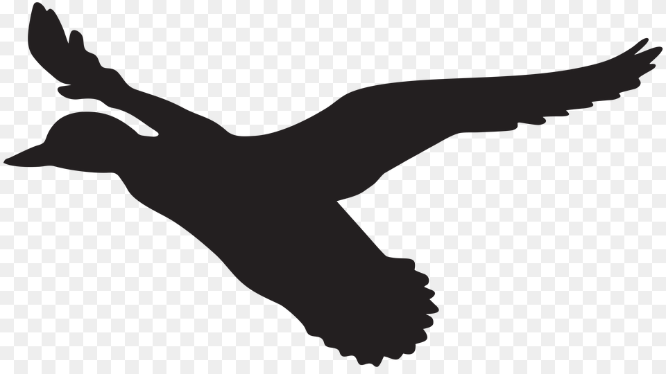 Duck Silhouette Cliparts, Animal, Bird, Flying, Person Png Image