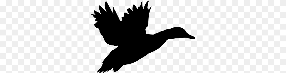 Duck Silhouette Duck Svg, Gray Png Image