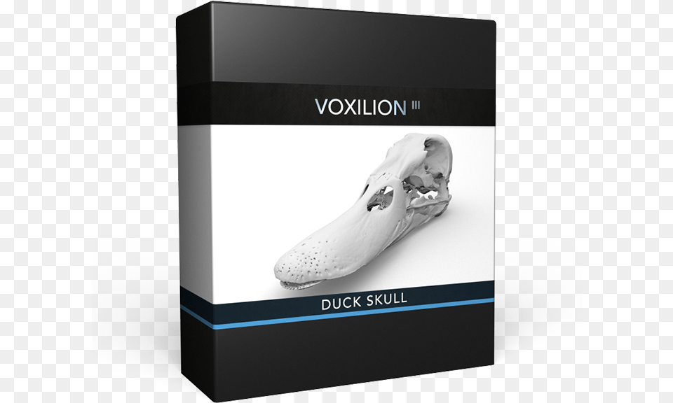 Duck Skull Box, Clothing, Footwear, Shoe, Sneaker Free Png