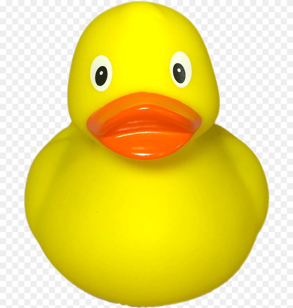 Duck Toy Transparent Background, Animal, Beak, Bird Png