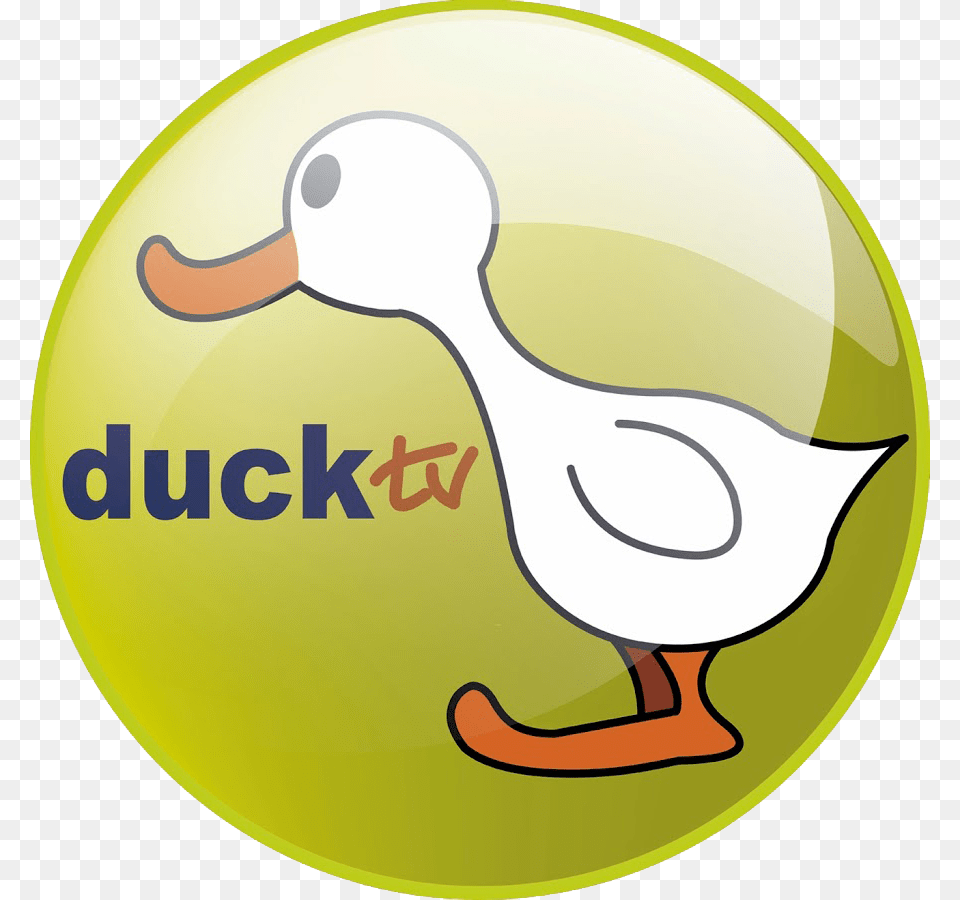 Duck Tv Logo, Animal, Bird, Waterfowl Png Image
