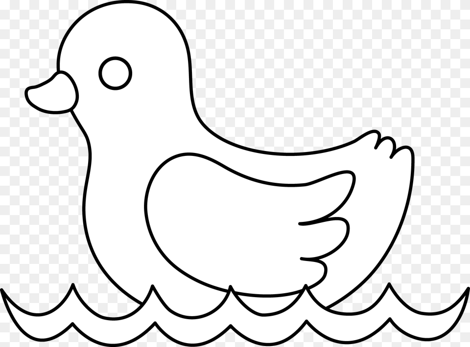 Duck White Cliparts, Animal, Bird, Pigeon, Baby Free Png
