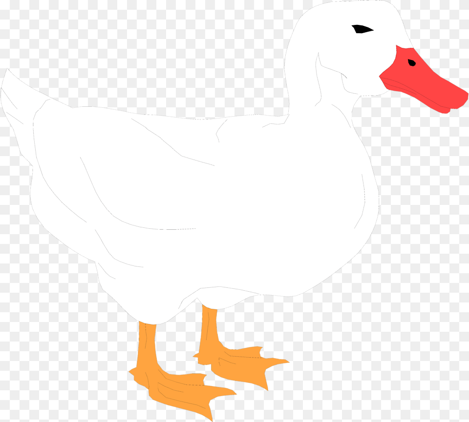 Duck White Duck Clipart Transparent, Animal, Beak, Bird, Person Free Png