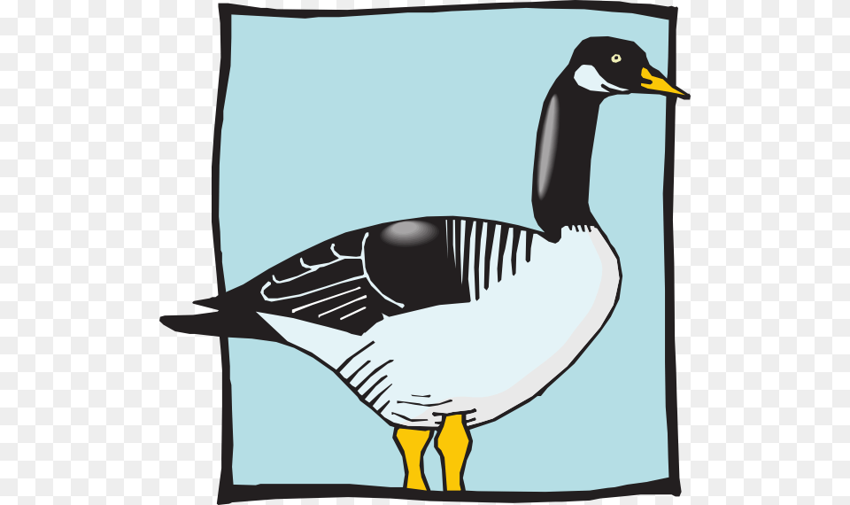 Duck With Blue Background Clip Art For Web, Animal, Bird, Goose, Waterfowl Png