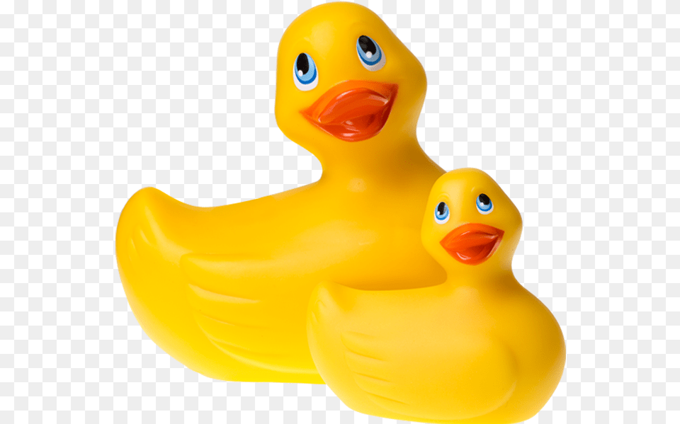 Duckies, Animal, Bird, Duck, Toy Free Transparent Png