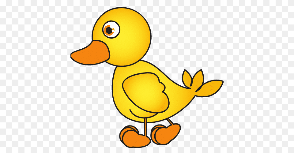 Duckling 0shares Side View Cartoon Duck, Animal, Bird, Beak Free Png