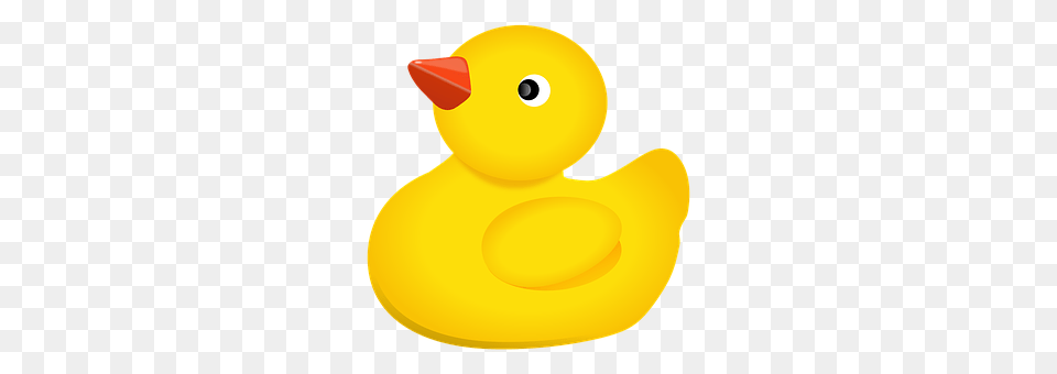 Duckling Animal, Beak, Bird, Duck Png Image