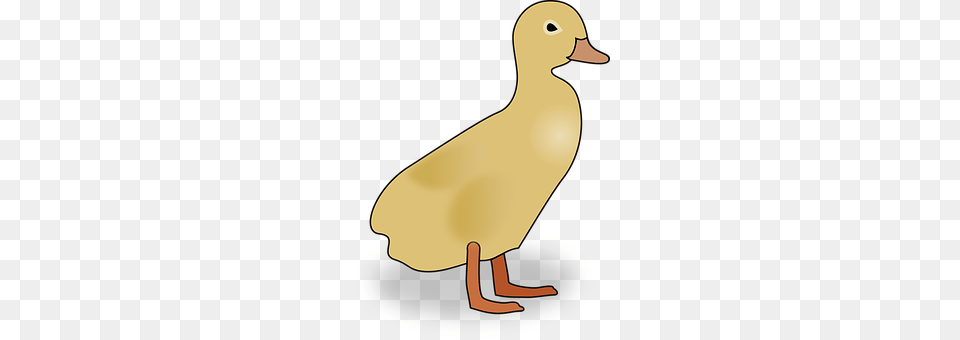 Duckling Animal, Bird, Duck, Smoke Pipe Free Png