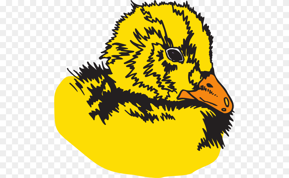 Duckling Clip Art, Animal, Beak, Bird Png