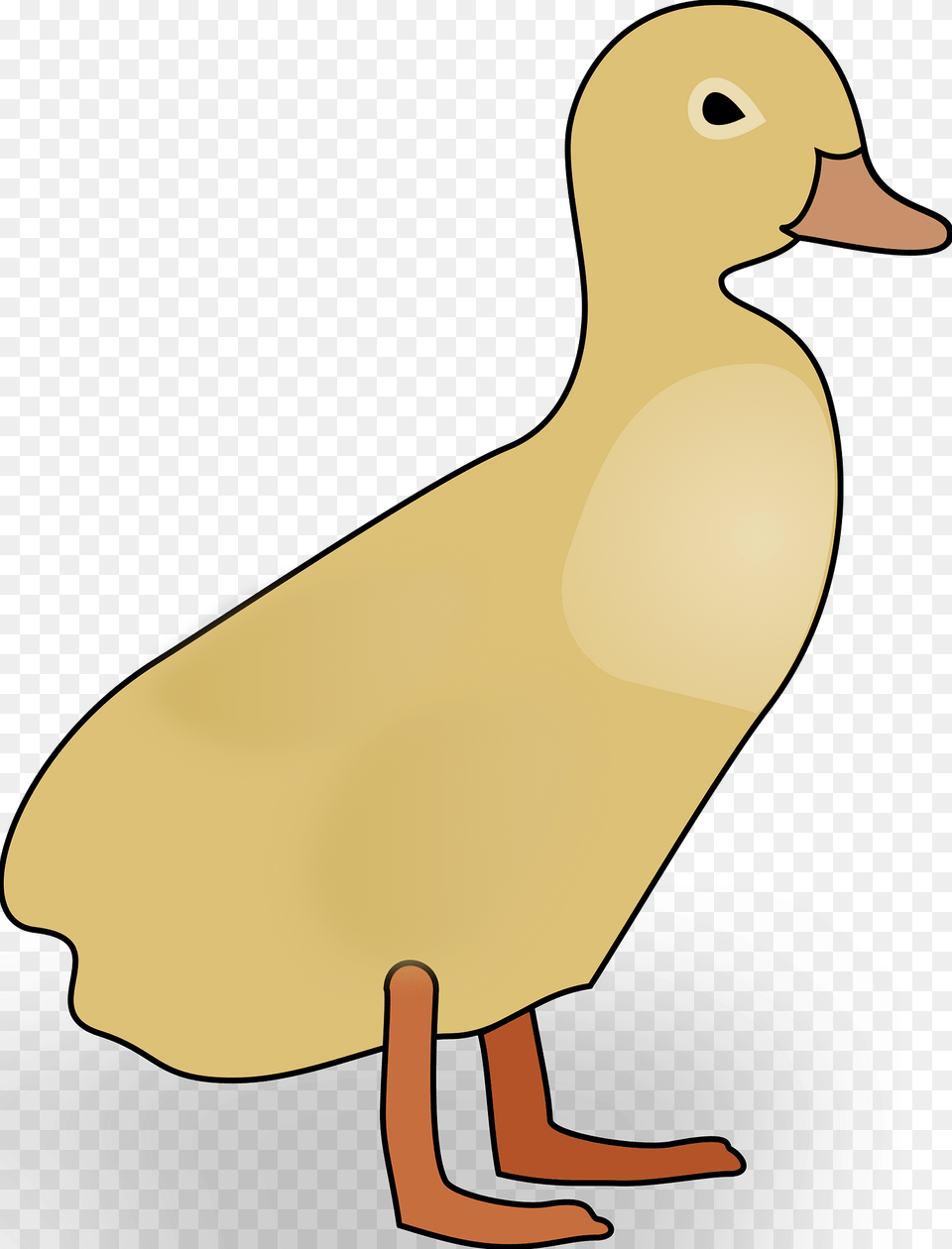 Duckling Clipart, Animal, Bird, Duck, Person Png Image